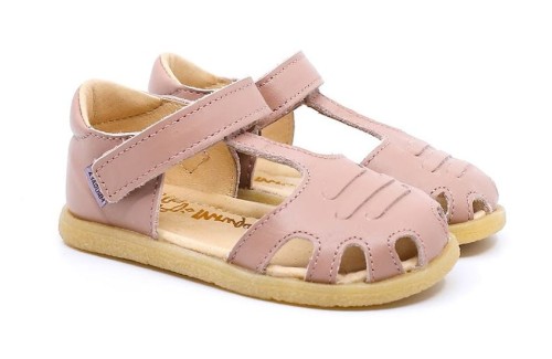 lola_rosa_1.jpg