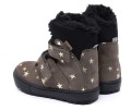 iwo_grey_stars_2.jpg