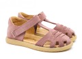 lola_rosa_1a.jpg