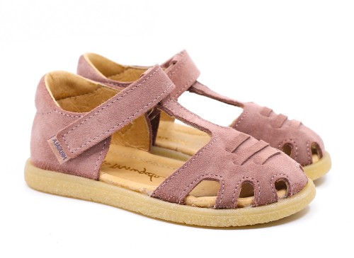 lola_rosa_1a.jpg