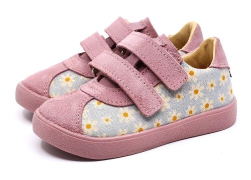 piko_lila_daisy_1c.jpg